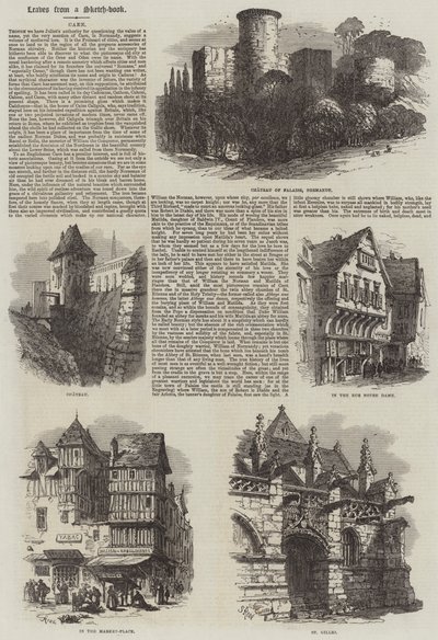 Caen de Samuel Read